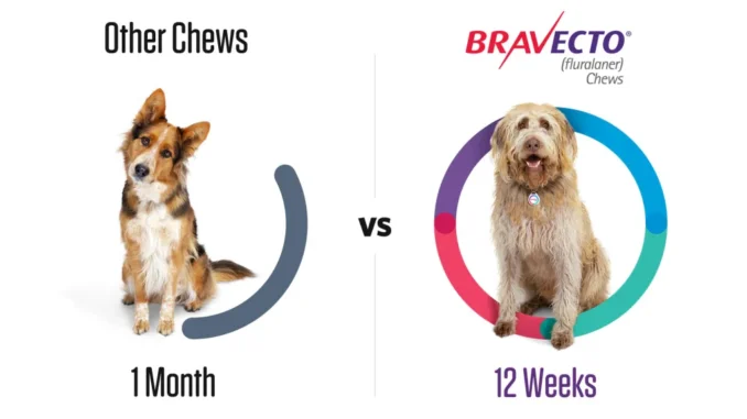 Bravecto Chews vs Topical