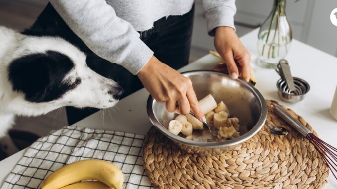 The Surprising Benefits of Bananas for Dogs