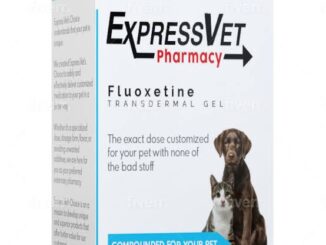 Is Fluoxetine Safe for Cats? What Pet Owners Need to Know