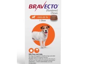 How Bravecto Can Keep Your Pet Safe from Fleas, Ticks, and More