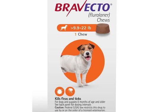 Bravecto: A Game Changer for Your Dog’s Health