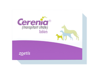 The Benefits and Risks of Cerenia for Dogs