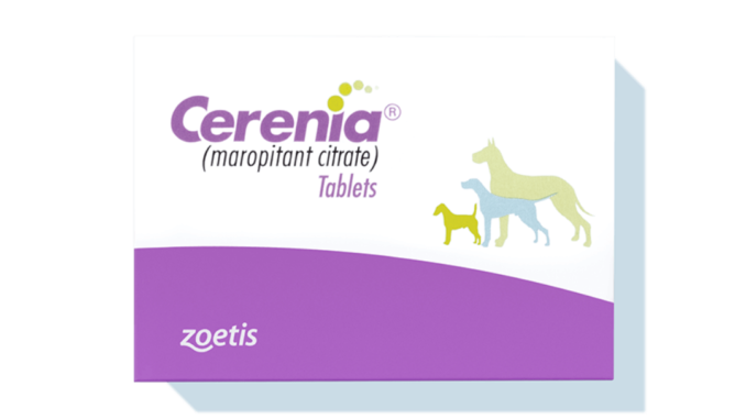 The Benefits and Risks of Cerenia for Dogs