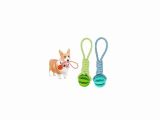 Top Pet Supplies Every Owner Needs for a Happy, Healthy Pet