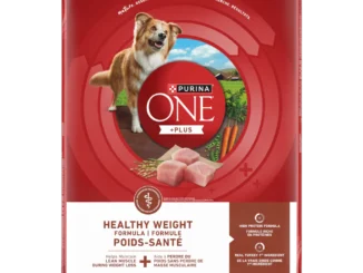 The Benefits of Choosing Purina ONE for Your Dog’s Diet