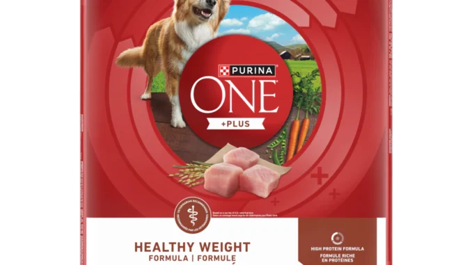 The Benefits of Choosing Purina ONE for Your Dog’s Diet