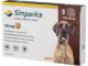 Why Simparica is a Must-Have for Pet Owners in 2025