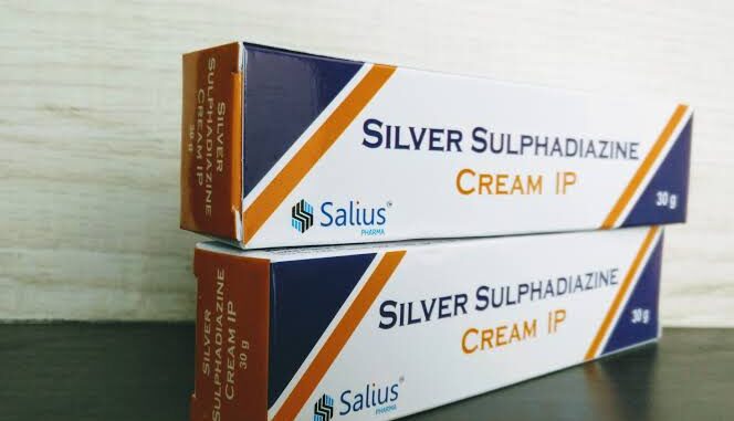 The Benefits of Using Silver Sulfadiazine Cream for Your Pet’s Skin