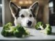 Is Broccoli Safe for Your Dog? Here’s What You Need to Know